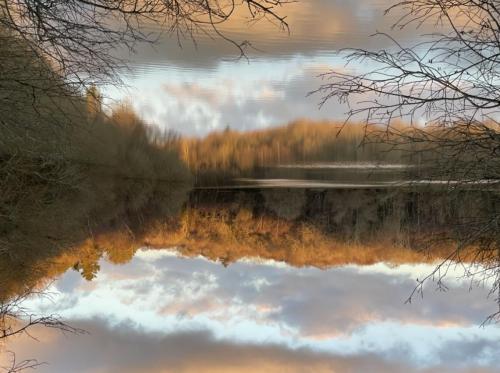 Ardingly Lake UK Upside down reflection.