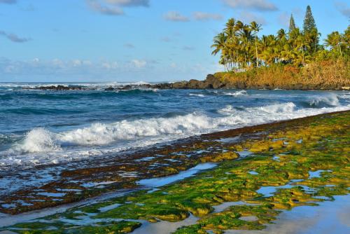 Oahu, Hawaii