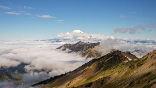 Mount Rainier