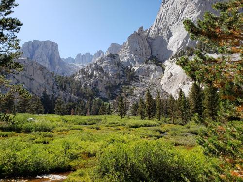 Bighorn Park, Eastern Sierra, California   Flickr: Michael Kwok