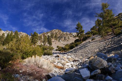 Chapman Trail, San Gabriel Mountains, CA