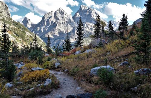 Grand Teton National Park, Moose, WY