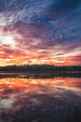 Experienced a phenomenal sunset in my backyard. Location is rural Central Finland