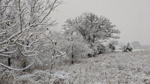 After the snowstorm, Guthrie Oklahoma.