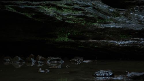 Ferne Clyffe State Park, Illinois. 3376 × 6000