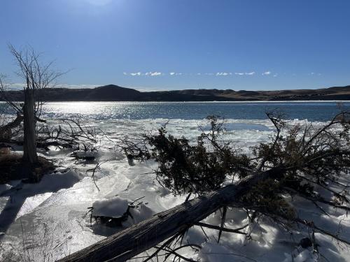 Farm Island, South Dakota [] 