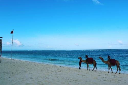 Diani, Kenya