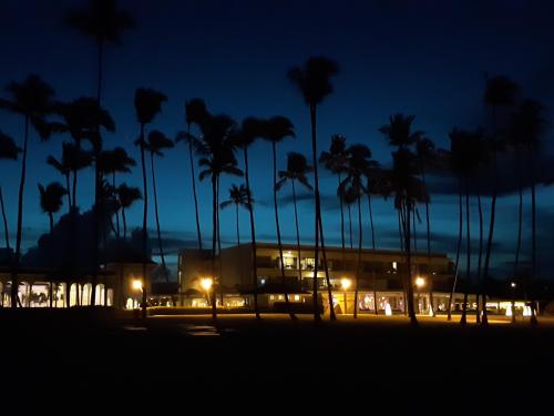 Palm Trees at Sunset in Punta Cana, Dominican Republic