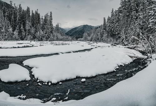 Cold winter river - below Mt. Rainier National Park