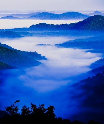 A River of Fog at Sunrise in the Appalachian Mountains KY, US