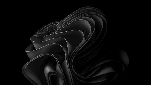 Windows 11 Black Abstract Bloom