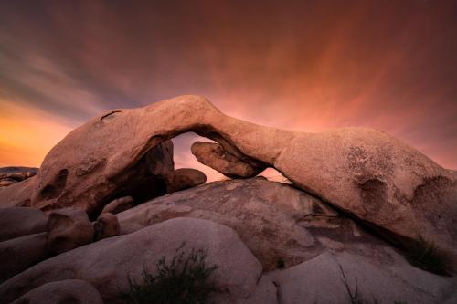 Alien Rock Formations at Arch Rock, Joshua Tree National park, CA