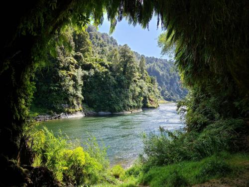 Whanganui River views, NZ