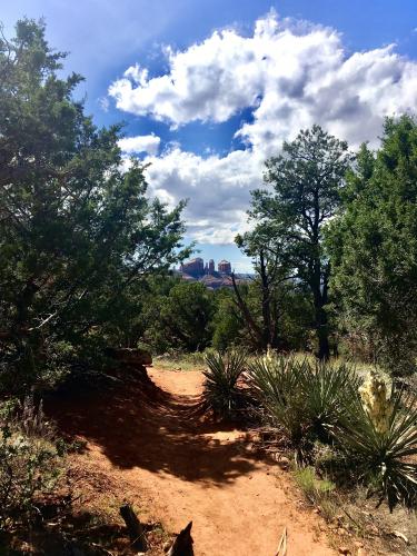 Coconino National Forest, AZ, USA