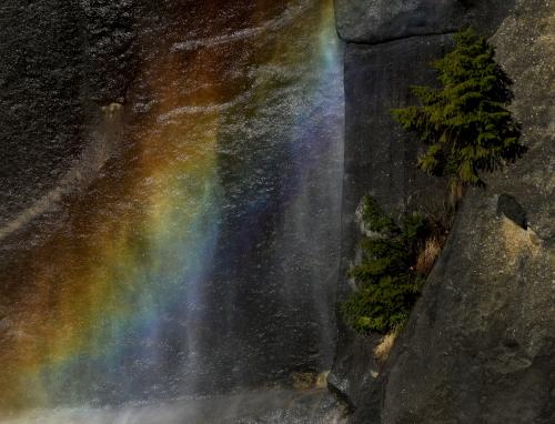 Misty Day by the Waterfall. Yosemite National Park, CA.