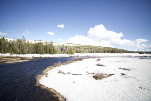 Yellowstone National Park in May