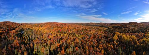 Northern Maine Woods - St. Francis