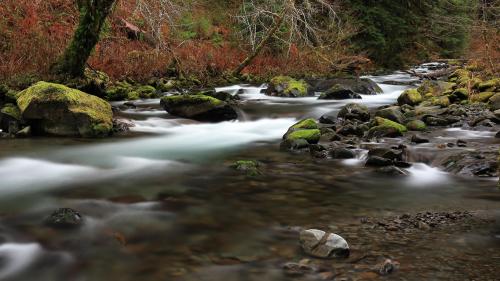 Sol Duc River in the Hoh Rainforest of Washington