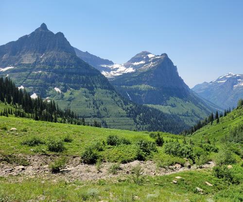 I got this incredible view from a busy paved road. Glacier NP, Montana