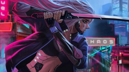 Cyber Ninja