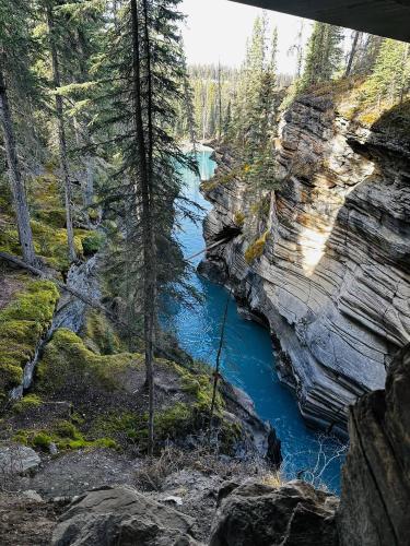 Athabasca falls river , Jasper, AB