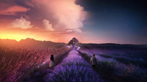 man and woman standing on lavender field