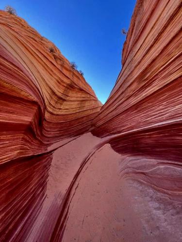 Exploring “The Wave” in Coyote Buttes North.