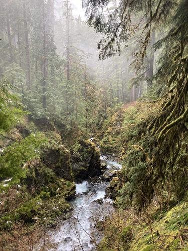 Olympic National Park at the Sol Duc Falls - 4/21/21.