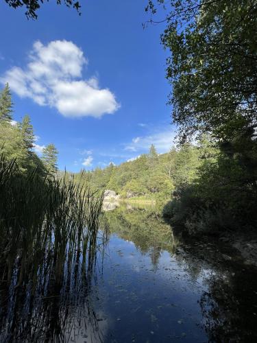 Reflecting, Idyllwild, CA