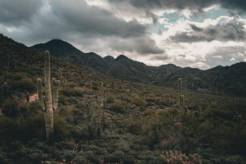 Cloudy Desert Day. Scottsdale, Arizona. 6048 × 4024