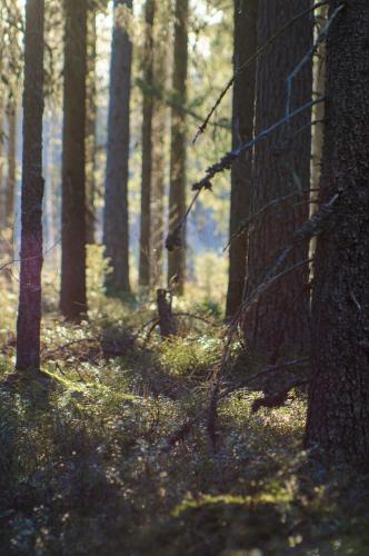 Spring has finally come and the snow is now gone in Pedersöre, Finland