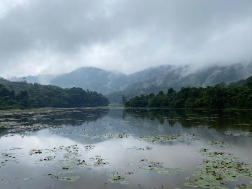 Foggy lake, Kodaikanal, India,