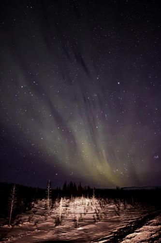 Auroras 5 Hours North of Fairbanks, AK