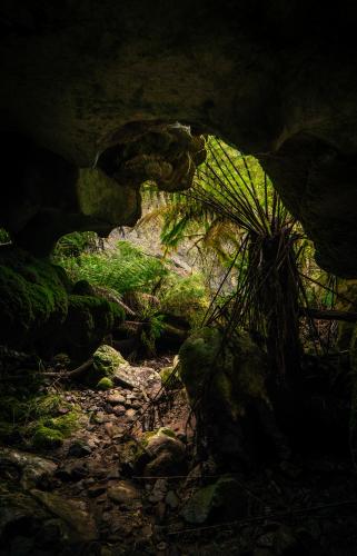 The forest cave, NSW, Australia, OC,
