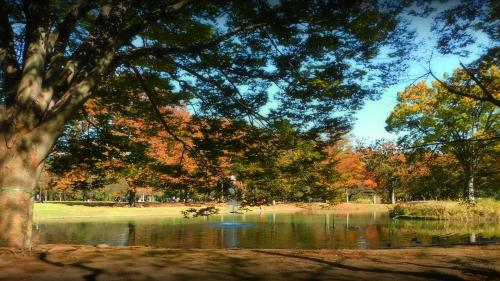 Yoyogi Park - October, 2018