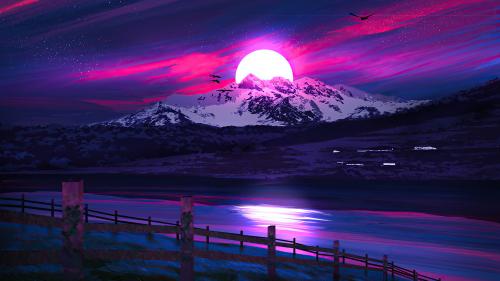 Purple Night