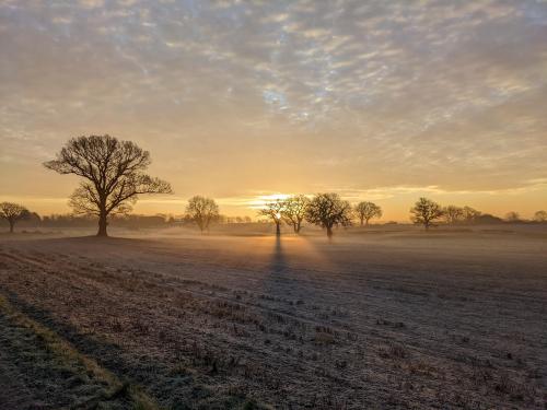 One frosty morning while dog walking