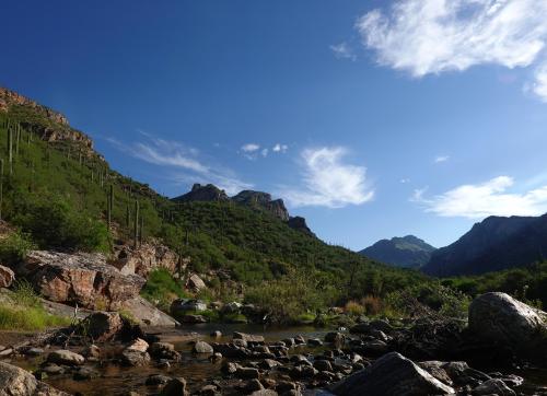 Bear Canyon, Arizona