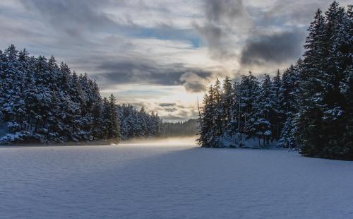 Sunlight through the trees, over a frozen lake. Kodiak, Alaska, USA  OC