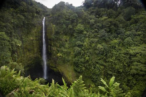 Akaka Falls, Big Island, HI