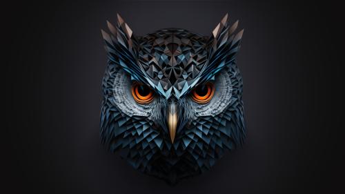 Bluish Owl