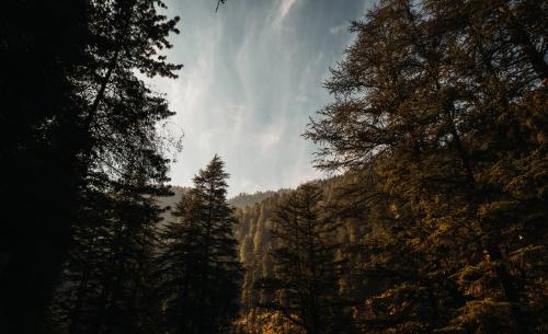 Banjar valley, HP, India