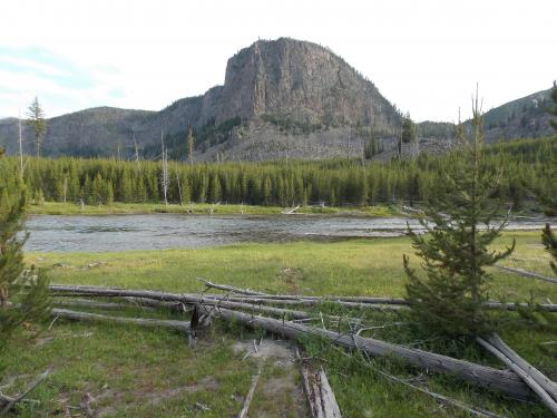 Madison River, near the West Entrance of Yellowstone National Park