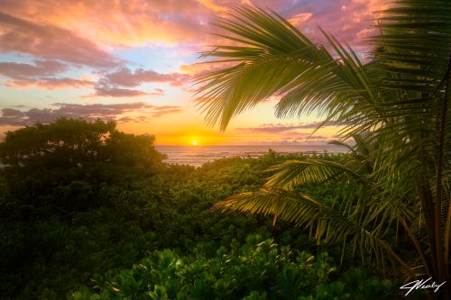 Sippin' on an Aloha Sunset in Oahu, Hawaii. @JeremyVeselyPhotography