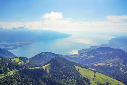 Lake Geneva seen from Dent de Jaman mountain top, Switzerland ⛰️💫✨