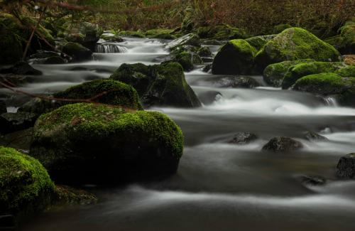 McDowell Creek, Oregon