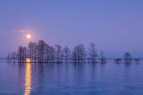 Moonrise over Mattamuskeet.  Lake Mattamuskeet, NWR , North Carolina.