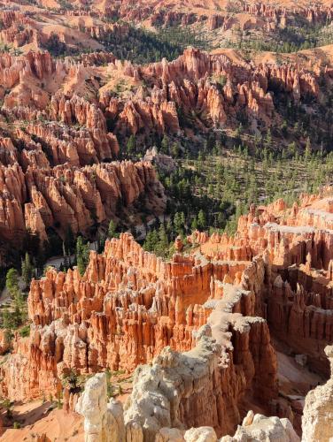 Bryce Canyon at dusk.