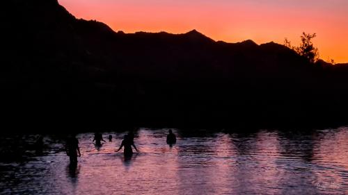 Wallpaper - Sunset Swim