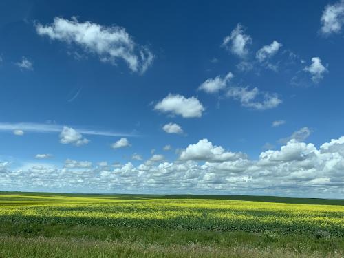 Somewhere between Drumheller and Calgary, Alberta